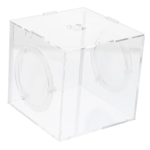 BESPORTBLE Kasten Zuchtbox Isolationsbox Eier Von Salzgarnelen Netz Für Fischkäfige Zubehör Für Aquarien Aquariumreiniger Brutstätte Für Artemia Fischfutter Fischzuchtbecken Tank Halter Acryl von BESPORTBLE