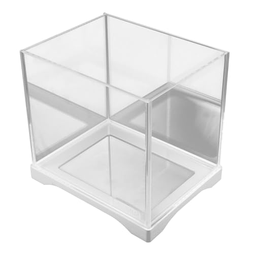 BESPORTBLE Glasschale Aquarium Desktop- Fischschalen Lebende Pflanzen von BESPORTBLE