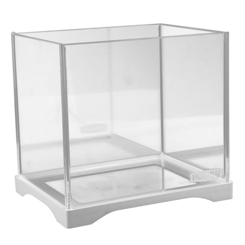 BESPORTBLE Kleines Fischbecken Schale Vase Pflanzgefäß Für Hydroponische Pflanzen Einfache Fischschale Fischschalen Für Tafelaufsätze Mini-Aquarium Hydroponisches Pflanzenterrarium Glas von BESPORTBLE