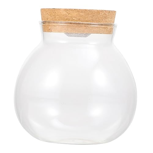 BESPORTBLE Landschaftsflasche Zubehör Für Schildkrötenpanzer Transparent Led-Kugeln Für Aquarien Vase Mit Hellem Fisch Flasche Mit Led-licht Blase Ökologische Aquarienflasche Mikro Holz Weiß von BESPORTBLE