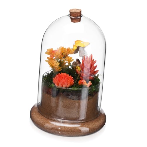 BESPORTBLE Terrarium Container Landschaft Pflanzer Flasche Moos Landschaft Container Glas Kuppel Cloche für Büro von BESPORTBLE