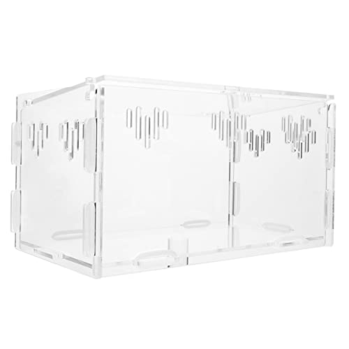 BESPORTBLE Reptilienkiste Kühler Aquarium-Pflanzenbecher Leopard Fischfutterautomat Schlange kleintierzaun Kleintier laufstall schleichtiere Schildkrötenhalter Spinnenpanzer Acryl Transparent von BESPORTBLE