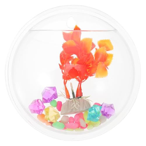 BESPORTBLE an der Wand befestigtes Aquarium Pumpe Schläuche Leistung Multifunktional Mittelstücke einmachgläser Vase zum Aufhängen an der Wand Wohnkultur schickes Aquarium Acryl Transparent von BESPORTBLE