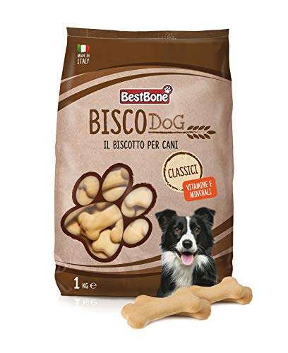 Record BestBone Vollkorn Vollkorn Knochen geformt Vanille Hundekuchen, Classic, Maxi Pack von Record