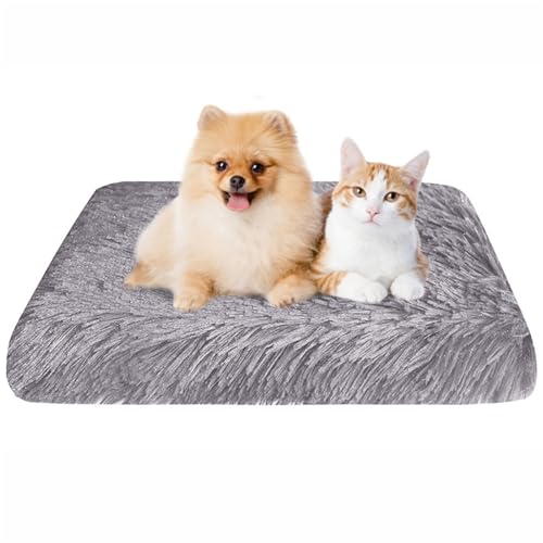 BESTORI Flauschiges Hundebett Hundekissen wasserdicht rutschfeste Haustierbett waschbar Hundematte plüsch weiche Polsterung für Hunde, Grau 02, 100 x 60 x 7 cm von BESTORI