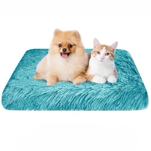 BESTORI Flauschiges Hundebett Hundekissen wasserdicht rutschfeste Haustierbett waschbar Hundematte plüsch weiche Polsterung für Hunde, Grün 01, 100 x 60 x 7 cm von BESTORI