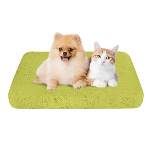 BESTORI Flauschiges Hundebett Hundekissen wasserdicht rutschfeste Haustierbett waschbar Hundematte plüsch weiche Polsterung für Hunde, Grün 02, 120 x 80 x 7 cm von BESTORI