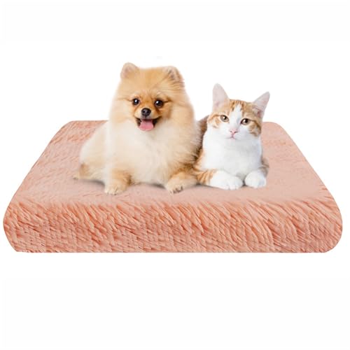 BESTORI Flauschiges Hundebett Hundekissen wasserdicht rutschfeste Haustierbett waschbar Hundematte plüsch weiche Polsterung für Hunde, Rosa 03, 100 x 60 x 7 cm von BESTORI