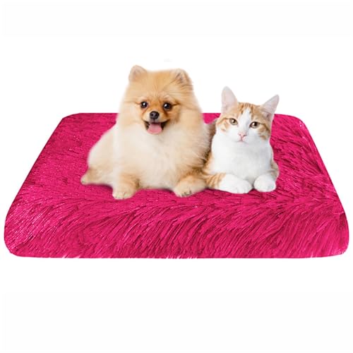 BESTORI Flauschiges Hundebett Hundekissen wasserdicht rutschfeste Haustierbett waschbar Hundematte plüsch weiche Polsterung für Hunde, Rot 01, 75 x 50 x 6 cm von BESTORI