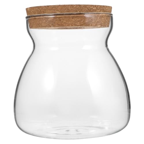 BESTOYARD Terrarium Glasbehälter für Hydroponische Pflanzen Mittelgroßer Ökosystem Container mit Lochdeckel für Sukkulenten und Miniaturgärten für Wohnräume BESTOYARD Terrarium Glasbehälter für Hydroponische Pflanzen Mittelgroßer Ökosystem Container mit Lochdeckel für Sukkulenten und Miniaturgärten für Wohnräume von BESTOYARD
