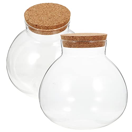 BESTonZON 2 Terrarienglas Glasvase Ökologische Flasche Geschenkglas Mit Korkdeckel Pflanzenterrarium Für Sukkulenten Farn Luftpflanzen Display 10X11cm Bonbonglas Mit Korkdeckel von BESTonZON