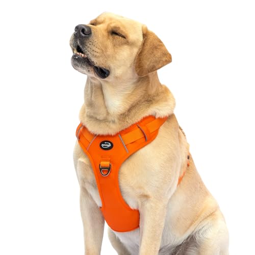 BEYFIRG Hundegeschirr, kein Ziehen, leicht und verstellbar, reflektierend, einfache Kontrolle, Griff zum Spazierengehen, Orange, Größe M, Brustumfang 48,3 cm ~ 61 cm, für kleine Hunde von BEYFIRG