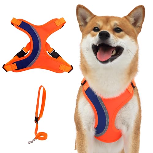 BEYFIRG _ Step in Hundegeschirr und Leine Set – kein Ziehen und verstellbares Welpengeschirr, weiche und reflektierende Weste für kleine und mittelgroße Hunde, Training, Walking (L, Orange) von BEYFIRG