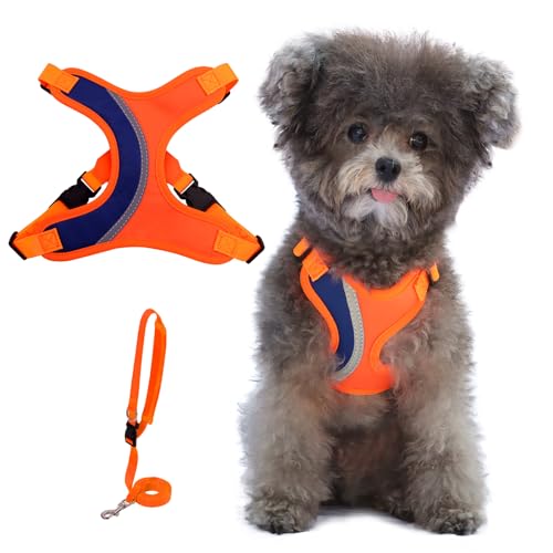 BEYFIRG _ Step in Hundegeschirr und Leine Set – kein Ziehen und verstellbares Welpengeschirr, weiche und reflektierende Weste für kleine und mittelgroße Hunde Training, Walking (XS, Orange) von BEYFIRG