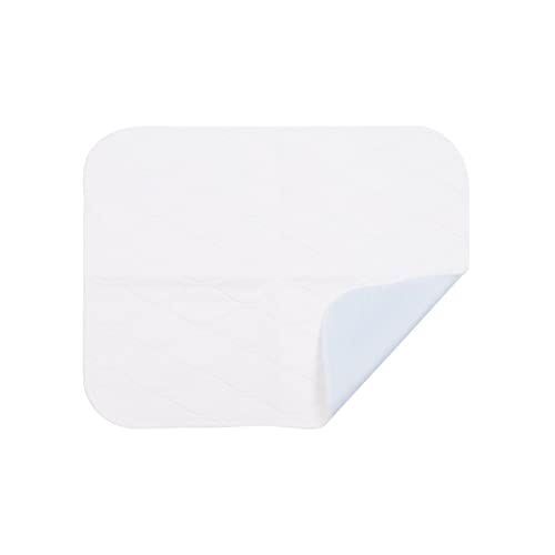 BFLKY Hundebett Pad Hunde Bett Wiederverwendbare Trainings Pad Große Hunde Pad Wasserdichter Schicht Heimtierbedarf von BFLKY