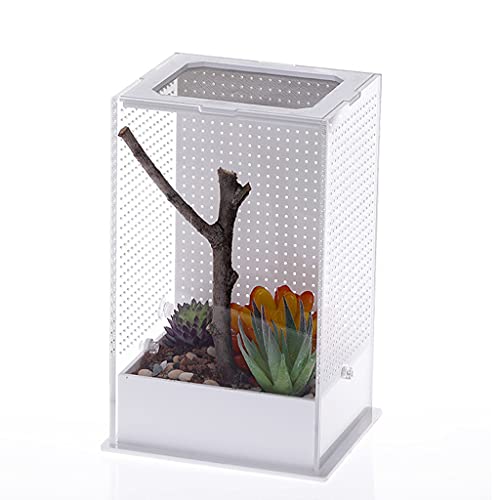 BFLKY Futterbox Behälter Terrarium Spinnen Transportbox Montieren von BFLKY