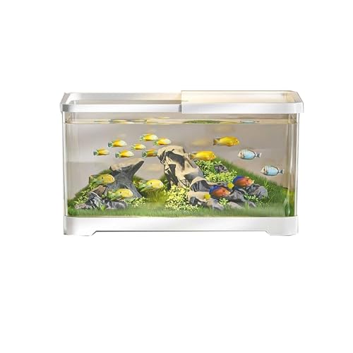 Aquarium, Desktop Transparent Acryl mit Deckel und Basis Kleine Wohnzimmer Haushalt Fischzucht Tank Fisch Schüssel(White,L) von BFVAKBKYT