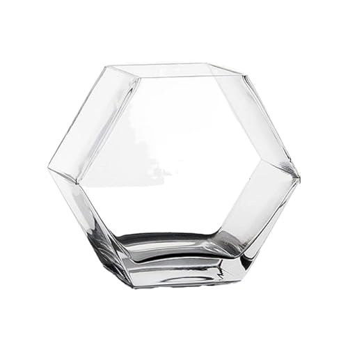 BFVAKBKYT Aquarium, Glas Verdickt Transparent Desktop Dekorative Büro Kreative Goldfisch Schüssel Glas Vase Fisch Schüssel(20x10x17.6cm) von BFVAKBKYT