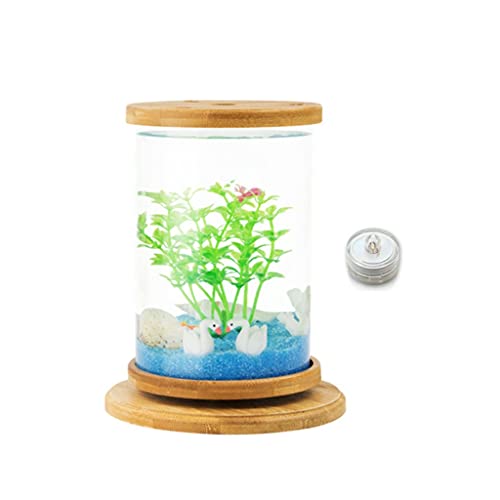 Aquarium, Kreative rotierende Desktop transparent Glas Büro Haushalt ökologische Flasche kleine Zierfische Betta von BFVAKBKYT