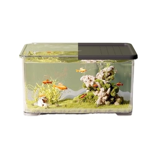 Aquarium, Transparentes Acryl mit Schiebedeckel, kleines Wohnzimmer, Schreibtisch, Büro, Dekoration, Schildkrötenbecken, Fischglas(Black) von BFVAKBKYT