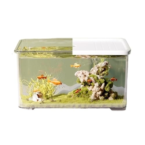 Aquarium, Transparentes Acryl mit Schiebedeckel, kleines Wohnzimmer, Schreibtisch, Büro, Dekoration, Schildkrötenbecken, Fischglas(White) von BFVAKBKYT