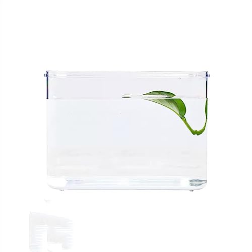 Aquarium, for Fisch Büro Desktop Kleine Acryl Box Kombination von Einzel Montiert Kleine Klar Transparent von BFVAKBKYT