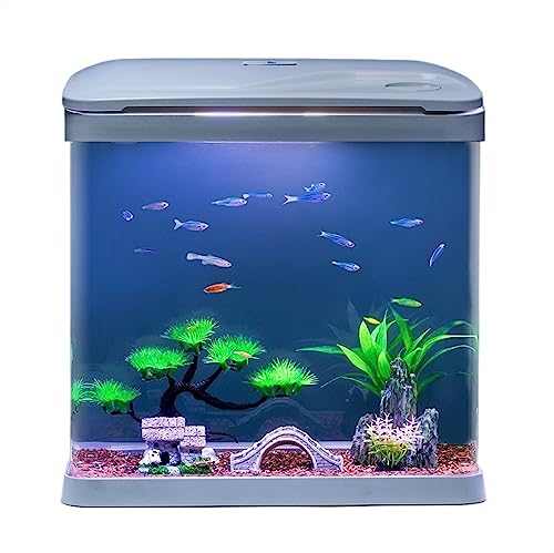 BFVAKBKYT Aquarium, Mit Sauerstofffiltration Integriertes Glas Kleines Haushalts-Selbstzirkulierendes Aquarium mit Led-Leuchten Ökologisches Aquarium Fischglas von BFVAKBKYT