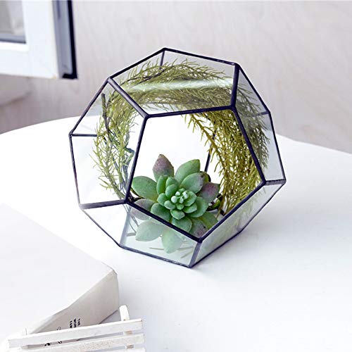 BFYDOAA Geometrisches Terrarium, Klares Glas, Rautenform, Tisch-Pflanzgefäß für Luftpflanzen, Sukkulenten, Farn, Moos, DIY-Miniatur-Feengarten (18x18x15 cm) von BFYDOAA