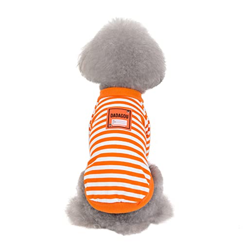 Cat Puppy Winter Warmer Mantel Hundebekleidung Frühlings- und Herbstmode trendiges gestreiftes T-Shirt klein Frühling und Herbst zweibeinig dünn, A20 trendiges gestreiftes T-Shirt-orange, Größe S (e von BGFA