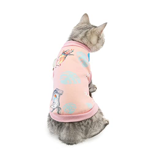 Klassische Hunde-Winterpullover Katzenkleidung Herbst und Winter Milchseidenpullover Haustier Blaue Katze Kätzchen Winter Warme Baumwolle Wattierte Kleidung, 20 Katzenmilch Seidenpullover-rosa Rehki von BGFA