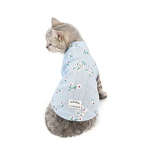 Kleidung für Haustiere Katzenkleidung Herbst und Winter Milch Seidenpullover Haustier Blaue Katze Kätzchen Winter Warmer Baumwollmantel, 20 Katzen Kleine Gänseblümchen Weste-blau, Größe S (Rückenlän von BGFA