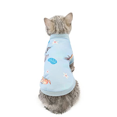 Weihnachten Hundepullover Mantel Katzenkleidung Herbst und Winter Milchseidenpullover Haustier Blaue Katze Kätzchen Winter warme Baumwolle gefütterte Kleidung, 20 Katzenmilch Seidenpullover-Blauer H von BGFA