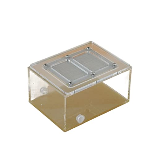 Reptilien-Futter-Terrarienbox, Schildkröten-Eidechsen-Futterbox, Acryl mit Deckel, Futterbox, Spinnenbox, Reptilienbox, Ameisennest, Ameisenfütterung, Insekten-Futterbox, Tierlebensraum, Käfig von BGFYUSF