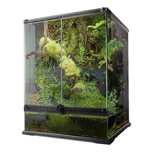 Reptilien-Terrarium, Glas, transparente Futterbox, Zuchtbox für Reptilien und Amphibien, Insekten, Spinne, Schildkröte, Schlange (30 x 30 x 45 cm) von BGFYUSF