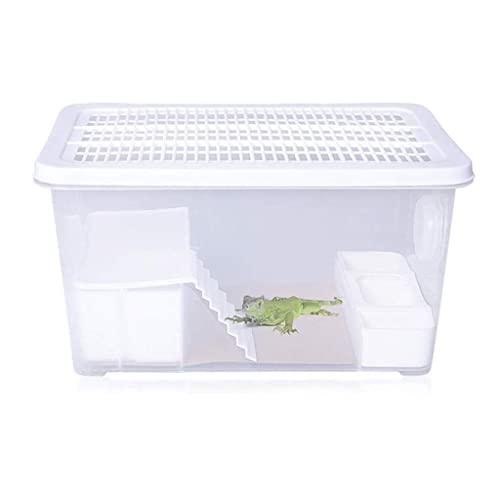 Reptilien-Terrarium, transparenter Inkubator mit Heizung für Haustiere, Amphibien-Lebensraum, Eidechsen, Chamäleons, Spinnen, Schlangen, Terrarium, leicht zu bewegen (weiß, 29,5 x 14,7 x 15,2 cm) von BGFYUSF