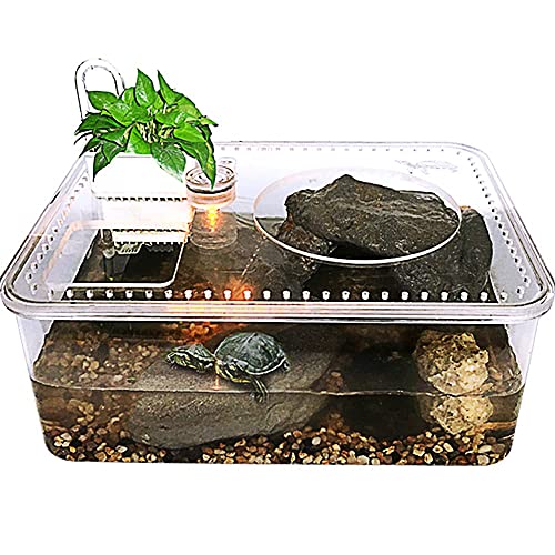 Reptilienbecken, kleines Aquarium mit LED-Beleuchtung, Mini-Acryl für kleine Fische, Desktop-Aquarium-Starter-Set mit Deckel für kleine Reptilien von BGFYUSF