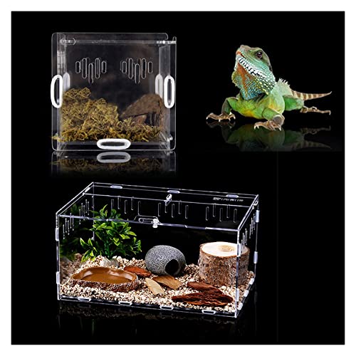 Terrarium-Box zur Fütterung von Reptilien, Futterbox für Schildkröten und Eidechsen, transparenter Futterspender für Reptilien, sicherer Schreibtisch, atmungsaktiver Futterspender aus Acryl, Spinnene von BGFYUSF