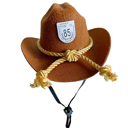 BHFYOB Modischer Cowboyhut für Katzen, Hunde, Festival, Party, Haustier-Cowboy-Mütze, Welpen-Kostüm, schöne kleine TopHats, Kopfbedeckung für Teddyhunde von BHFYOB