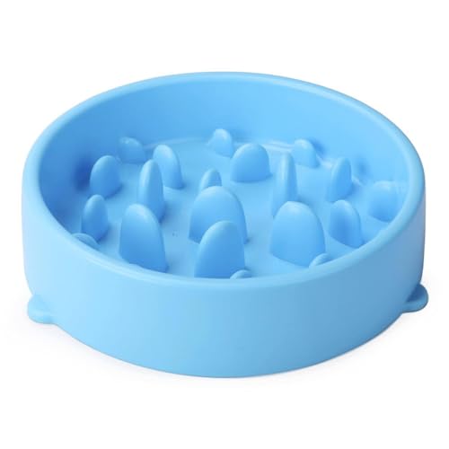 Haustierprodukte Hundenapf Hunde Slow Food Napf Anti-Erstickungsschutz Haustier Hundenapf Katzennapf Geschirr Napf 2-tlg. Combo/454(Blue) von BHIAG