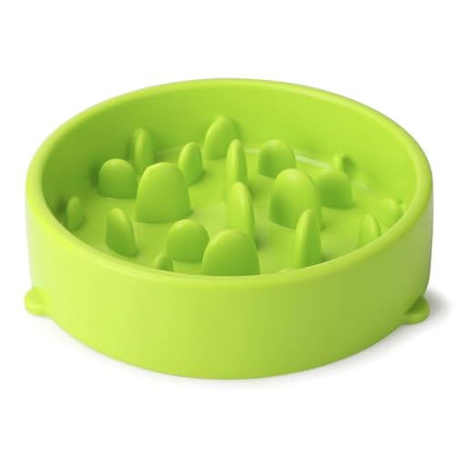 Haustierprodukte Hundenapf Hunde Slow Food Napf Anti-Erstickungsschutz Haustier Hundenapf Katzennapf Geschirr Napf 2-tlg. Combo/454(Green) von BHIAG