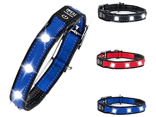 BI INTERNATIONAL ® Hundehalsband Leuchtend & Aufladbar - Wasserdichtes LED Leucht-Halsband für Hunde aus Verstärktem Nylon - Hochwertig & Sicher mit starker Leuchtkraft (L, Blau) von BI International