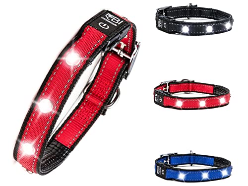 BI INTERNATIONAL ® Hundehalsband Leuchtend & Aufladbar - Wasserdichtes LED Leucht-Halsband für Hunde aus Verstärktem Nylon - Hochwertig & Sicher mit starker Leuchtkraft (L, Rot) von BI International