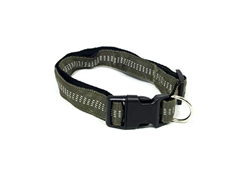 BIANCHERIAWEB Bequemes und strapazierfähiges Halsband für Hunde, verstellbar, Modell Color Doggy von BIANCHERIAWEB