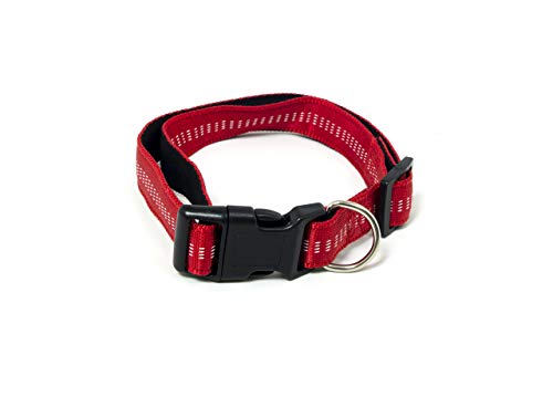 BIANCHERIAWEB Bequemes und strapazierfähiges Halsband für Hunde, verstellbar, Modell Color Doggy von BIANCHERIAWEB