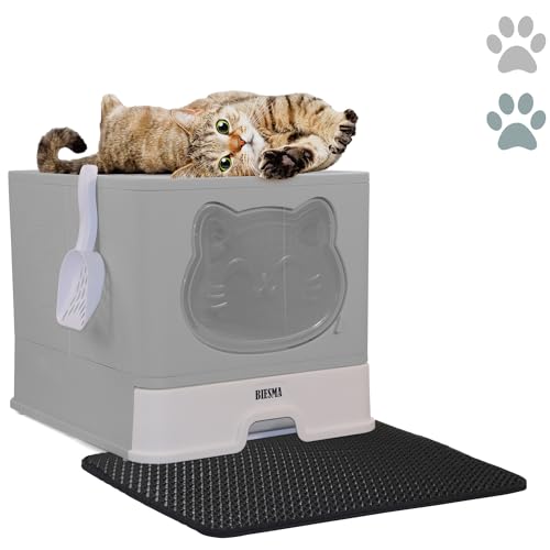 BIESMA Katzenklo mit Katzenklomatte und Schaufel, XXL Katzentoilette Für Katzen bis 15kg,Katzenklo mit ausziehbares Tablett, Katzenklo mit Deckel und Zubehör von BIESMA