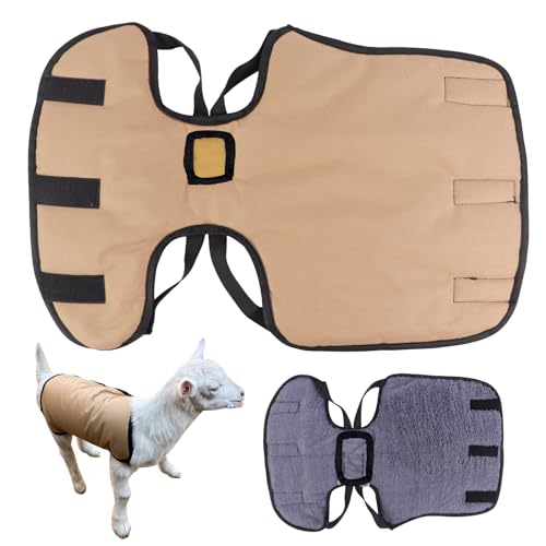 2 Pack Braune Ziegendecke für Winter Ziegenmantel Kaltes Wetter Wasserdicht Winddicht Ziegenjacke Decke Ziege Warm Lammmantel mit Riemen Verdickter Bauchschutz von BIGANTTOW