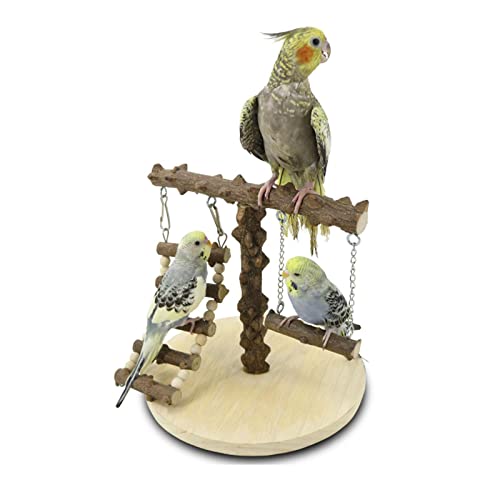 Klettern Spielzeug Für Vögel Haustier Klettern Dekoration Schaukel Training Barsch Papageien Käfig Spielzeug Gym Kauen Spielzeug Playstand Vogel Schaukel Für Conures von BIGULA