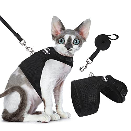 Bingpet Katzengeschirr und -Leine, ausbruchsicher, Einstellbarer, weicher Netz-Holster ¨C ideal f¨¹r das AUSF¨¹hren Kleiner K?tzchen von BINGPET