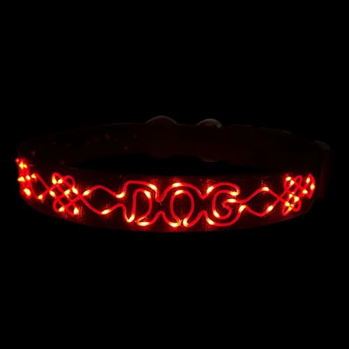 LED Halsband für Hunde mit Buchstabenstickerei – Leuchtendes Haustierhalsband 55cm von BININBOX