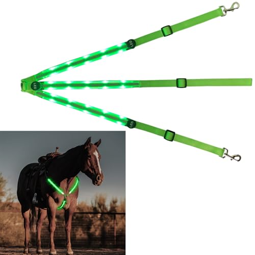 LED Pferdegeschirr Verstellbar Luminous Horse Vorderzeug Brustgurt für Pferde für den Pferdesport(Grün) von BININBOX